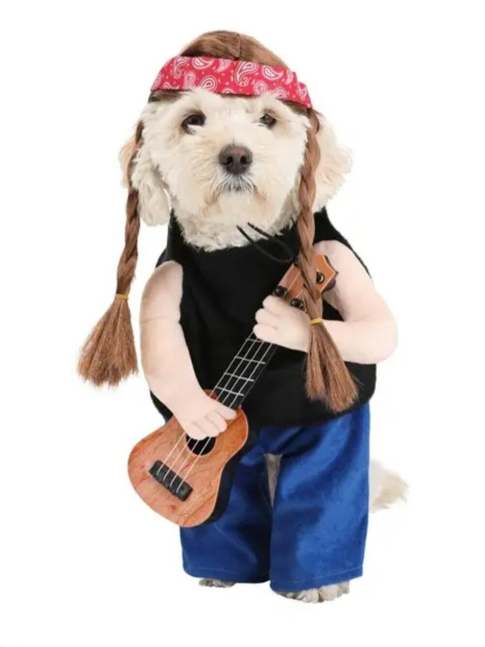 Willie Nelson Dog Costume